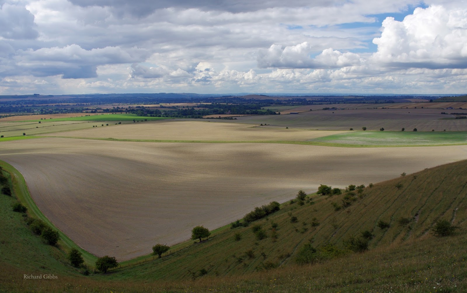 Academic essays: My perfect day descriptive essay